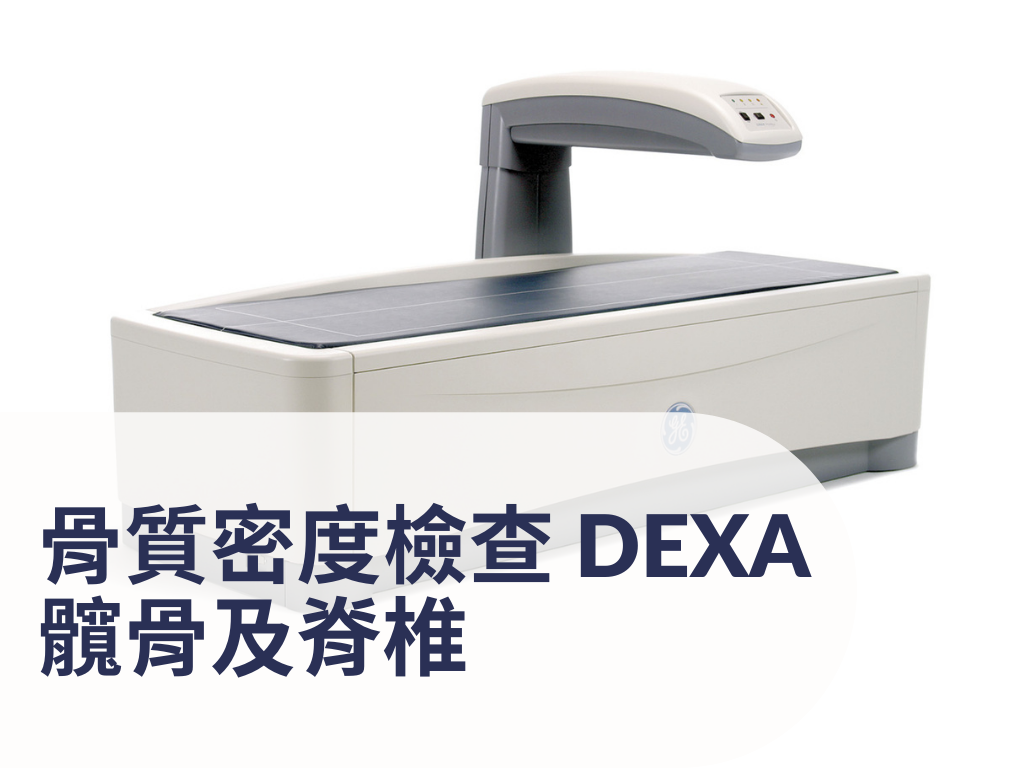 骨質密度檢查 DEXA – 髖骨及脊椎 (Hip & Spine) DEXA – Hip & Spine